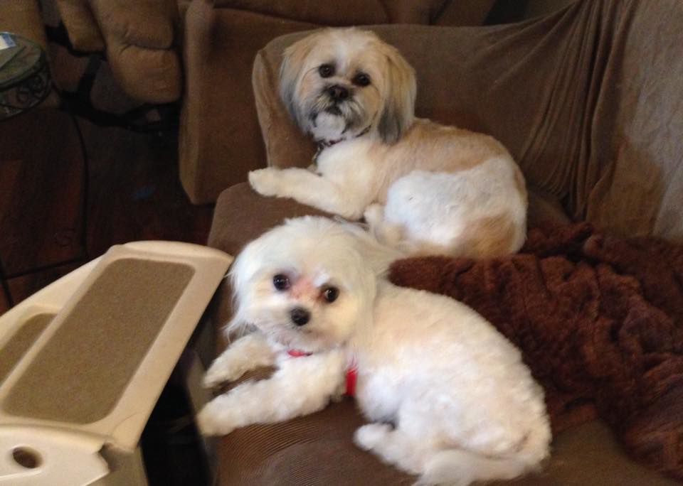 Readers pet photos